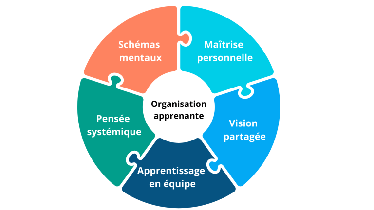Les 5 composantes autour de l'Organisation apprenante : Schémas mentaux - Maîtrise personnelle - Vision partagée - Apprentissage en équipe - Pensée systémique